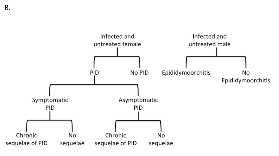 Agent Based Modelling Of Chlamydia Trachomatis Transmission In A Canadian Subpopulation National Collaborating Centre For Infectious Diseases