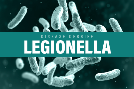 Legionella