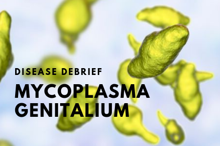 Mycoplasma genitalium