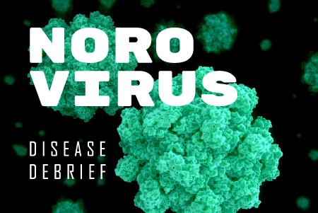 Norovirus