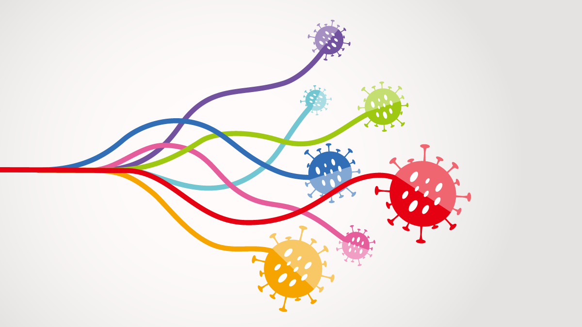 B.1.617.2 enters and fuses lung cells with increased efficiency