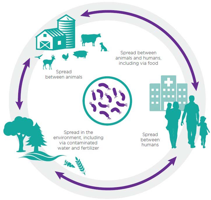 What does water have to do with antimicrobial resistance?