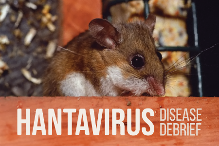 Hantavirus – National Collaborating Centre for Infectious Diseases