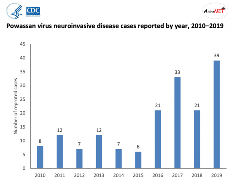 Zeckenbiss Horror In Maine: Gesundheitsbehörden Bestätigen Ersten Fall Von Powassan Virus! - 78jtvgk