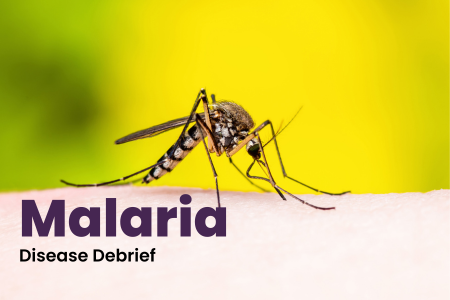 Malaria