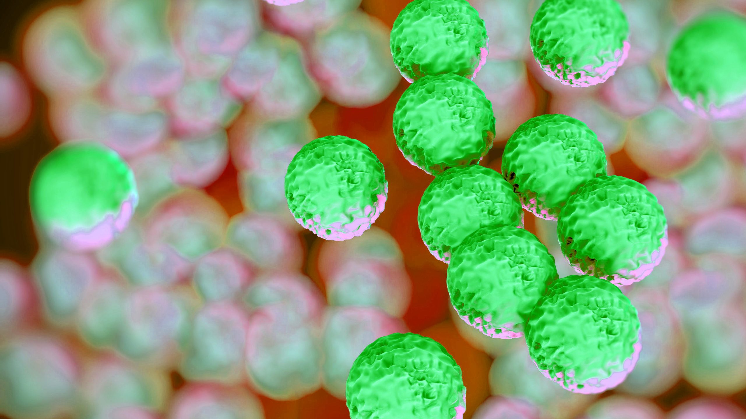 Infographic Methicillinresistant Staphylococcus aureas (MRSA