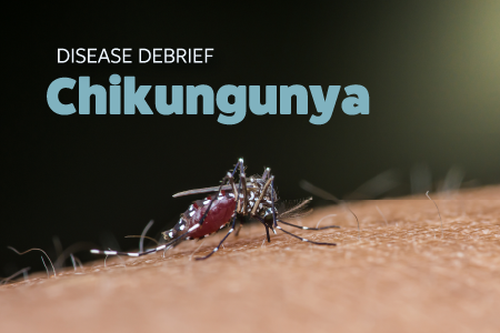 Chikungunya